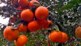 Begin your retiree stay with Vietnam’s tranquil ambiance